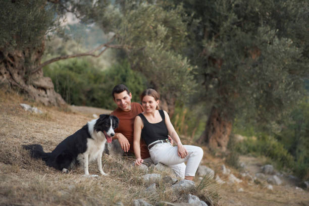 A couple and their Border Collie enjoy the serene beauty of a forested hillside, basking in the sunlight.