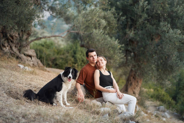 A couple sits on a hillside, enjoying a peaceful moment with their Border Collie by their side.