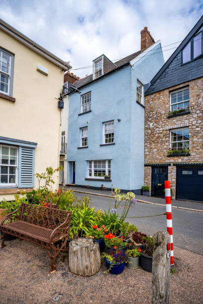 istock Roadside flowers in Topsham in Devon 2169426952