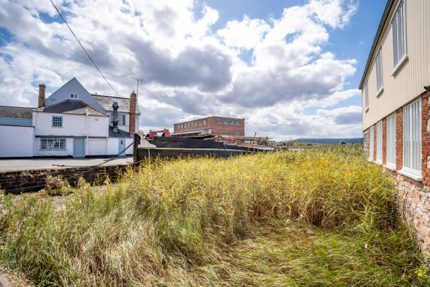 istock Mixed use buildings in Topsham 2169427084