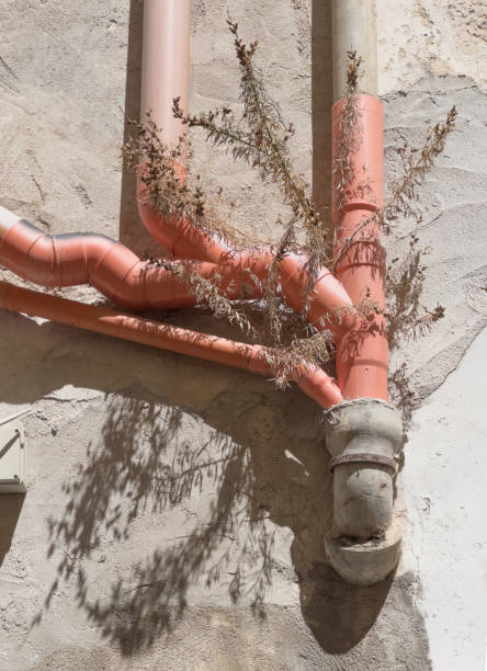 The image shows a network of pink pipes against a textured beige wall. The pipes are arranged vertically and horizontally, with some branching off in different directions. There are plants growing out from behind and around the pipes, indicating either neglect or the resilience of nature in an urban environment. The shadows cast by the pipes create a secondary pattern on the wall, adding depth to the scene.\nIt’s an interesting blend of human-made structures and natural elements, highlighting how nature can thrive in unexpected places