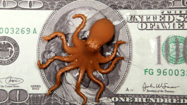 image of octopus money banknote background