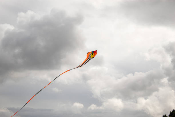 istock Red and Black kite flying high 2169430292