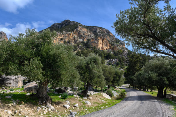 istock Pit stop cornering,Empty road along mountain against sky,Cyprus 2169432349
