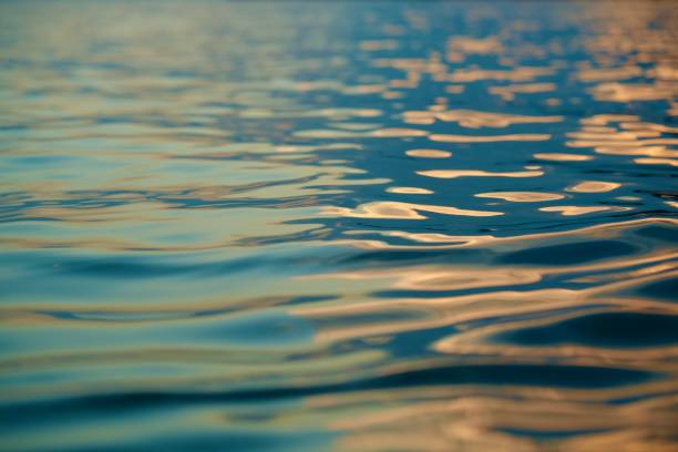 Abstract cold drawings by sunset on a water surface