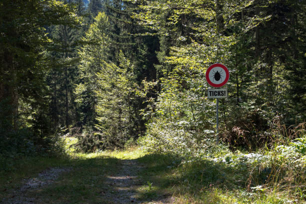 istock Warning sign for ticks in a forest 2169443030