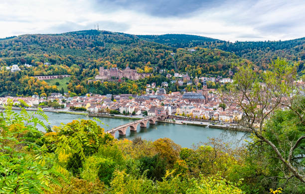 Heidelberg skyline aerial view from above
