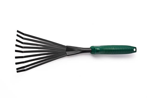 istock Small garden rake isolated on white background. Gardening tools. 2169453514
