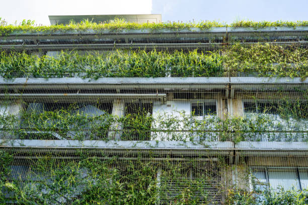 istock Building covered with green plants 2169462154