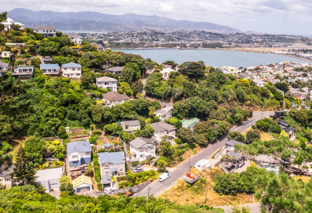 istock Wellington real estate 2169462668