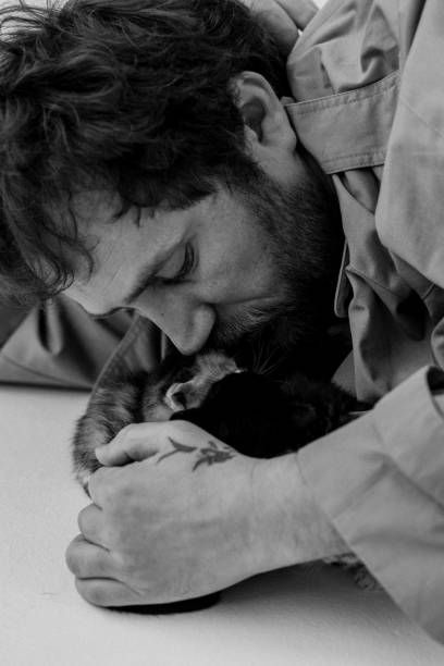 istock Exploring Love: Kittens and Their Human 2169463566