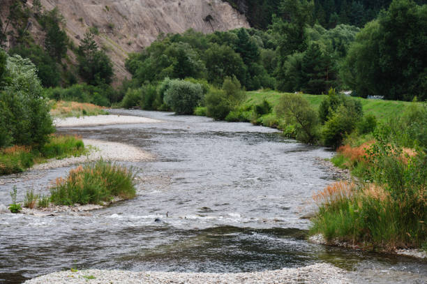 istock Winding river with lush forest and mountain backdrop 2169463942