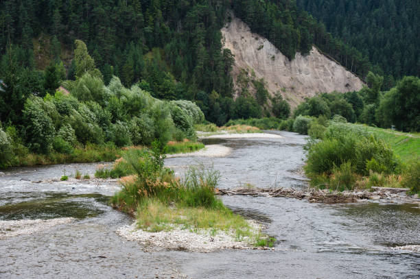 This image depicts a peaceful, winding river flanked by lush green forests and a mountainous backdrop. The riverbank is lined with dense vegetation and small islands of grass and pebbles, creating a tranquil natural scene.