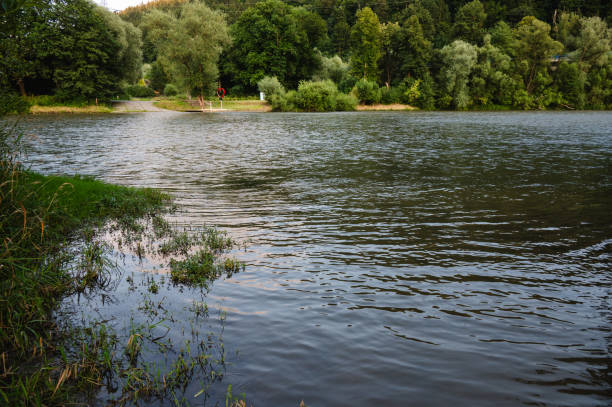 A serene river flowing through a lush, green landscape, with dense foliage along the riverbank. The calm water and vibrant greenery create a peaceful summer scene in nature.