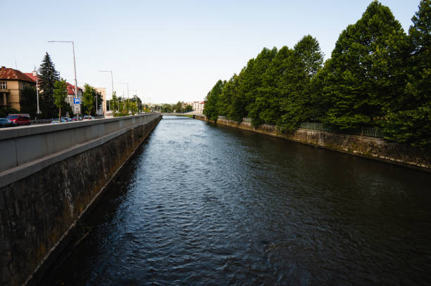 A calm river flowing through an urban area, flanked by a tree-lined embankment on one side and a road on the other. The scene captures the blend of nature and city infrastructure under a clear sky.
