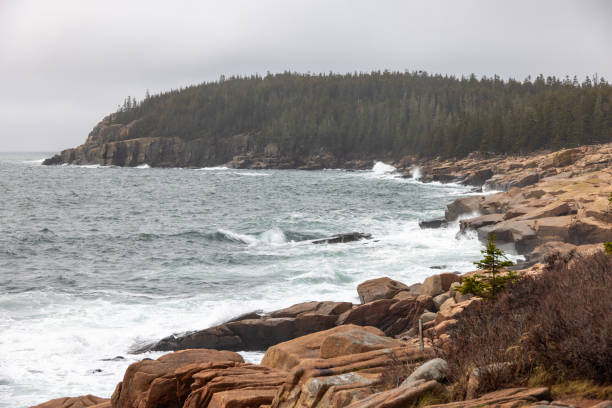 istock Acadia National Park 2169468627