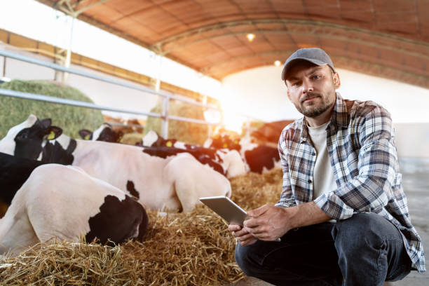 istock Livestock inspector using a digital tablet to check cows on the farm 2169468640