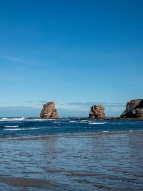 istock Beach of Hendaye 2169474330