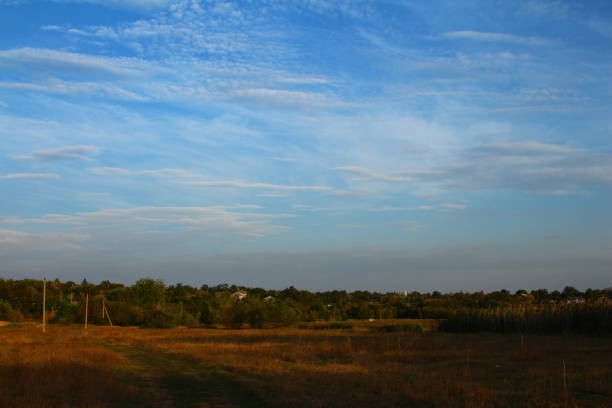 A field with trees and blue sky. Outdoor. Sky. Grass. Field. Nature