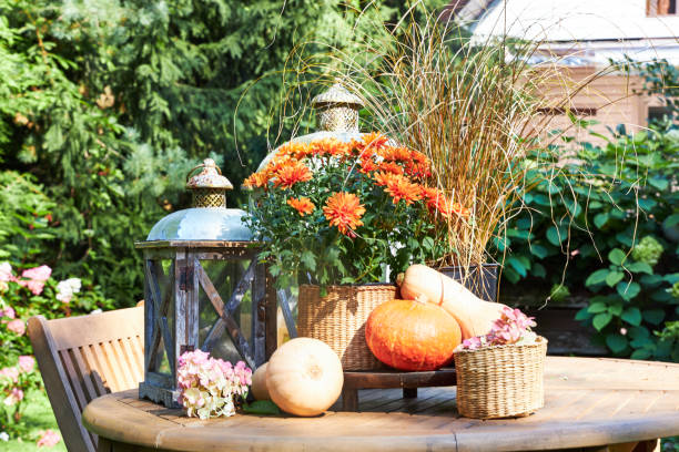 istock Autumn table arrangement with pumpkins and flowers 2169474809
