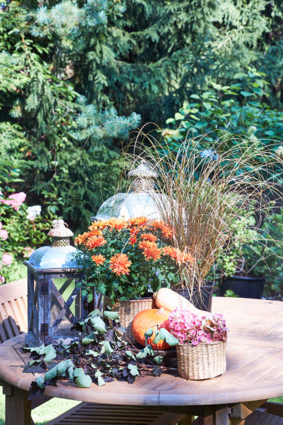 istock Autumn table arrangement with pumpkins and flowers 2169474814