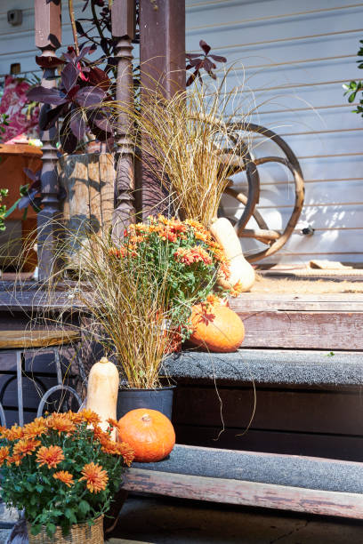 istock Autumn entryway decor, staircase decor with pumpkins and fall flowers 2169474887
