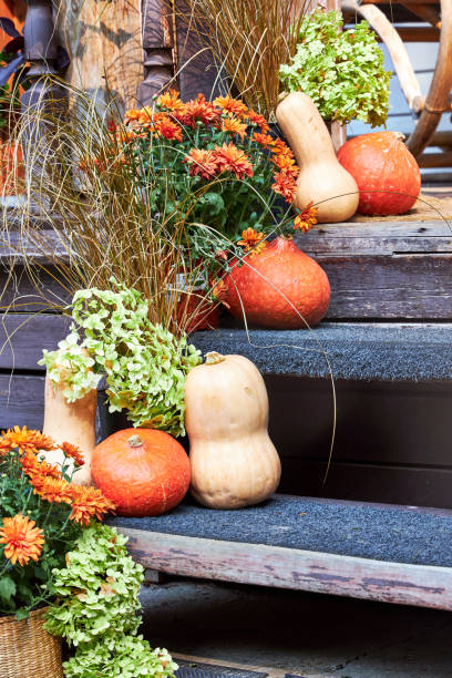 istock Autumn entryway decor, staircase decor with pumpkins and fall flowers 2169474900