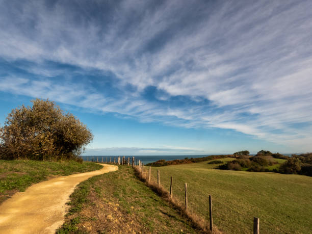 istock Beach of Hendaye 2169474929