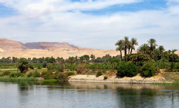 istock Bank of Nile River in Egypt 2169475238