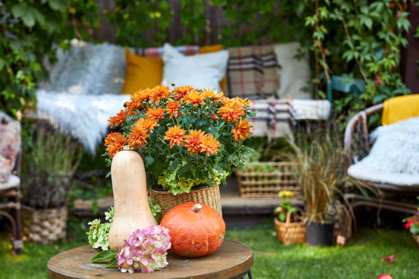 istock Autumn table arrangement with pumpkins and flowers 2169475521