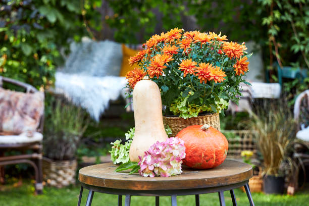 istock Autumn table arrangement with pumpkins and flowers 2169475522