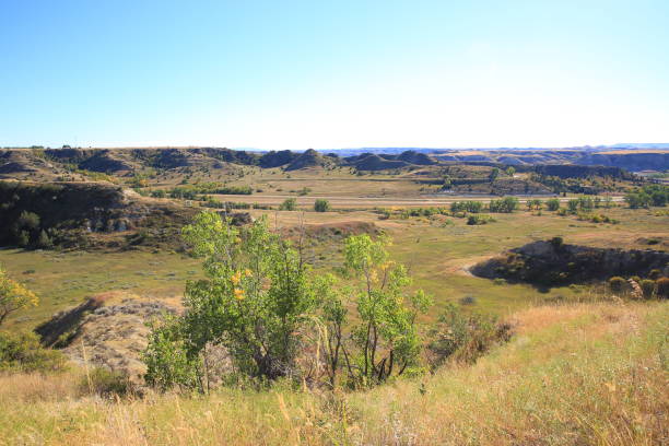 istock Looking down at the Badlands from Theodore Roosevelt National Park. 2169477132
