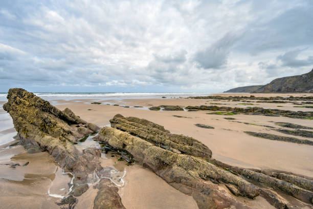 istock Ancient rocks emerge at low tide on Sandymouth beach 2169481247