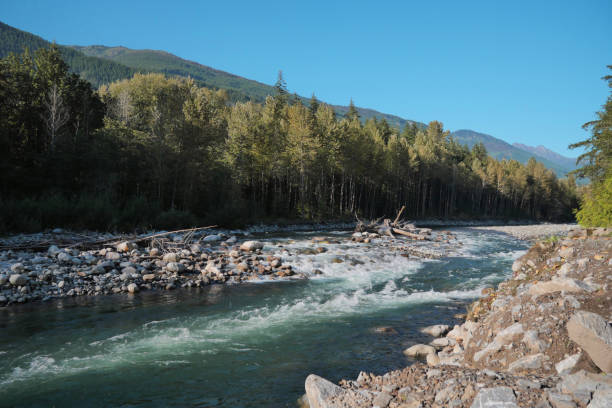 istock Chilliwack River in Chilliwack, British Columbia 2169481927