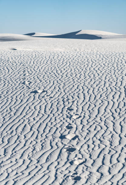 trail of footprints in the sand and shadows from dunes on clear day in White Sands National Park