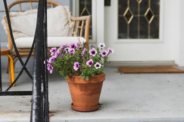 istock Flower pot on a poche 2169488994