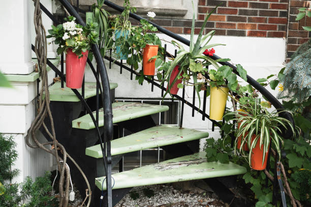 Plant, Residential building, steps