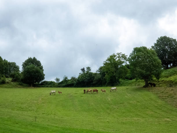istock Graphic resources of a day in nature 2169489595