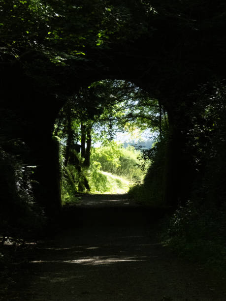 istock Graphic resources of a day in nature 2169489752