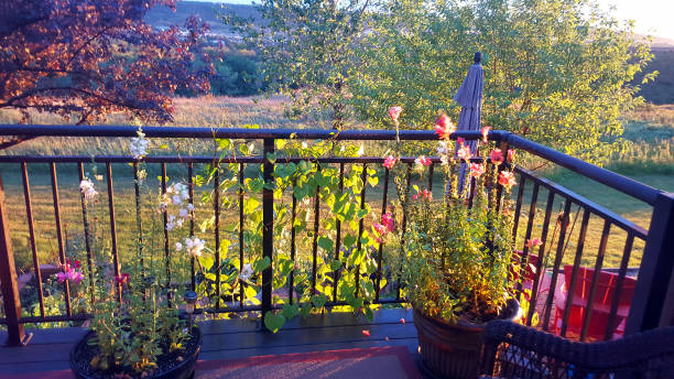 istock Special Evening Garden Light After A Rain 2169492285