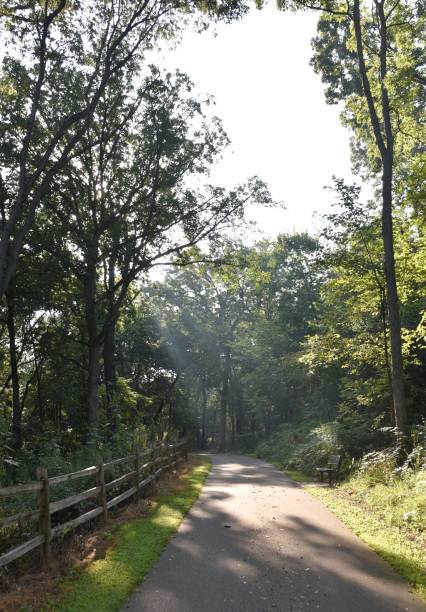 istock God Rays on the Bike Path 2169494241