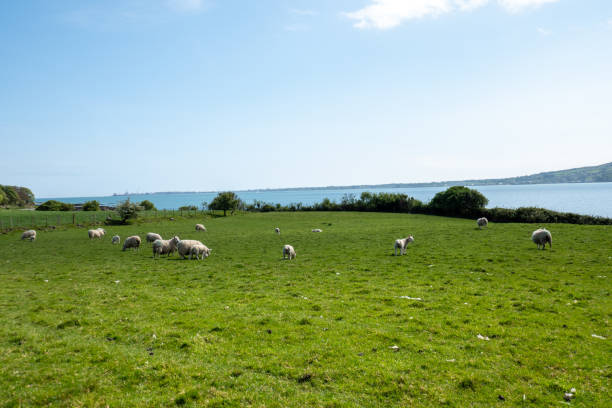 istock Mourne Area, Northern Ireland, UK 2169494348