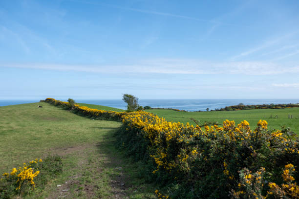 istock Mourne Area, Northern Ireland, UK 2169494572