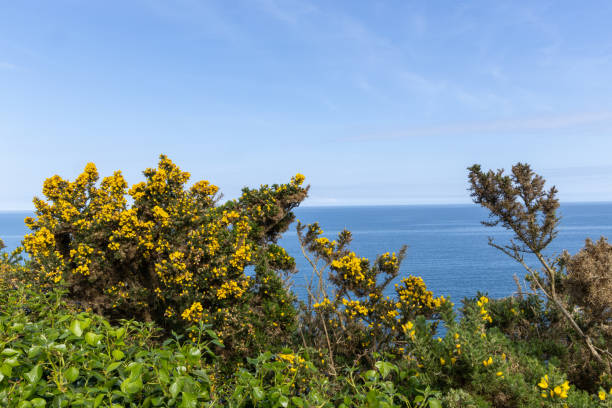 Mourne Area is called \