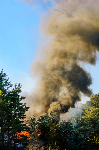 istock Smoke and Flames From Out of Control Wildfire 2169494910