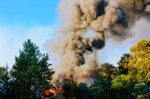 istock Smoke and Flames From Out of Control Wildfire 2169494945