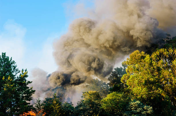 istock Smoke and Flames From Out of Control Wildfire 2169494958