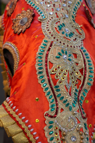 istock traditional elephant decoration in India. Religion and traditions. 2169495577