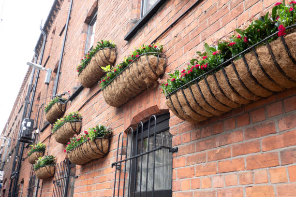 istock Belfast, Northern Ireland, UK 2169496516