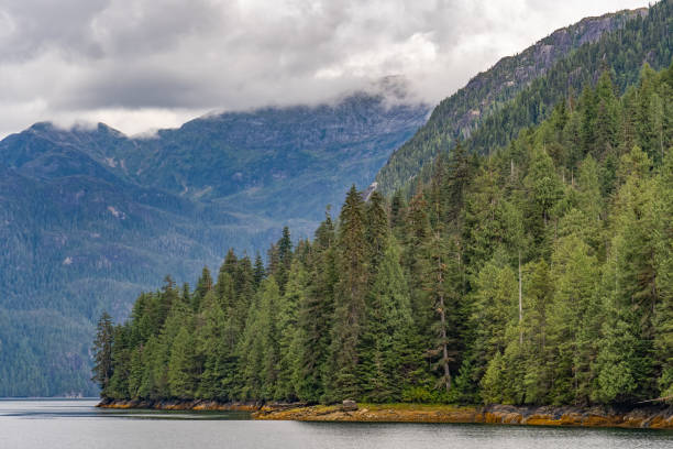 istock Misty Fjords National Monument Shoreline 2169496566